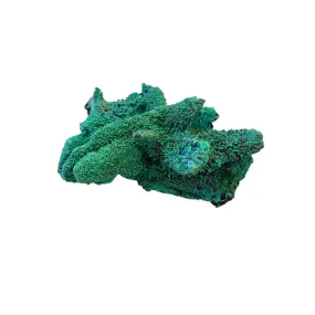 Chrysocolla / Malachite Raw Crystal