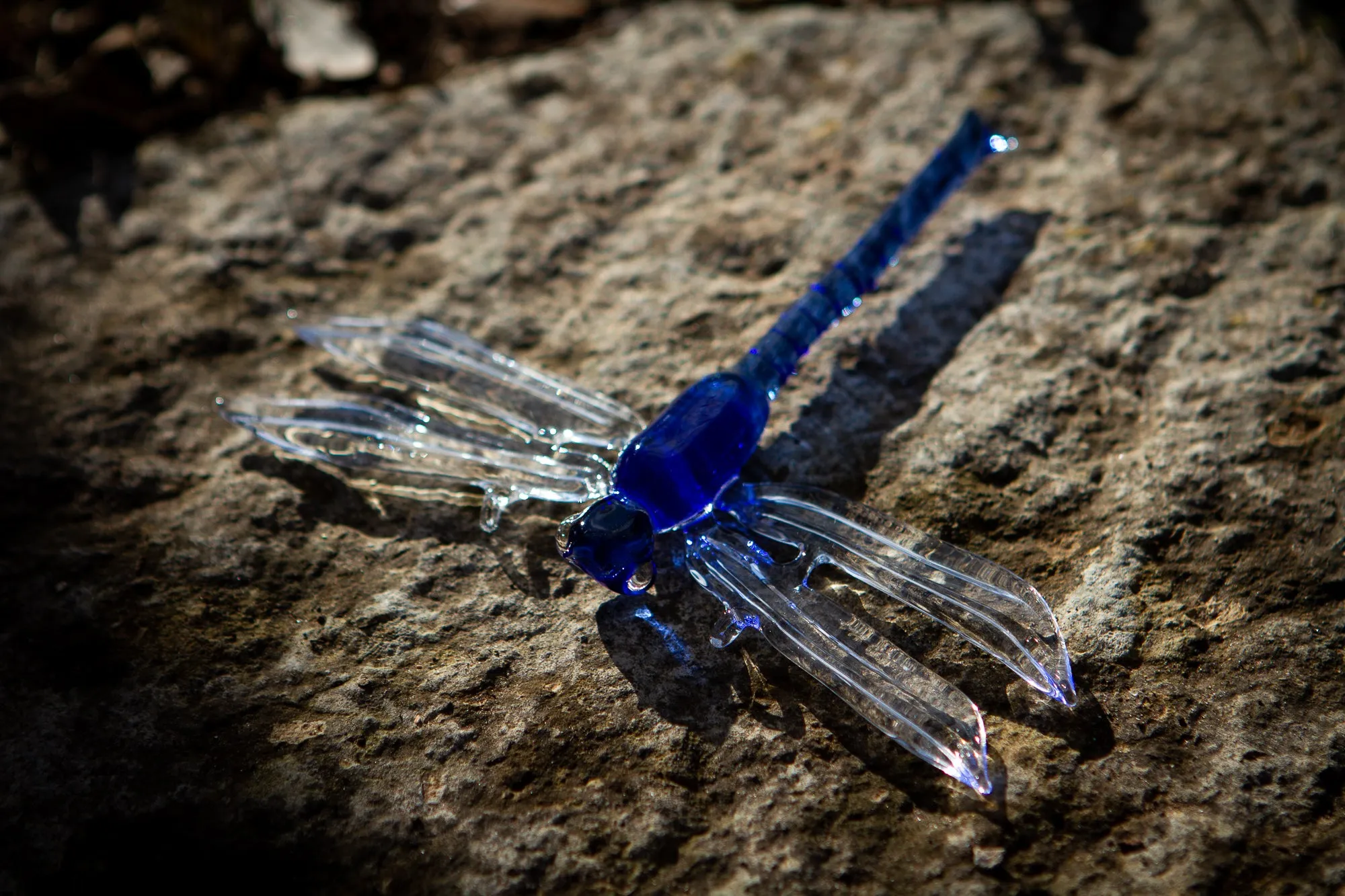 Dragonfly with Cremation Ash