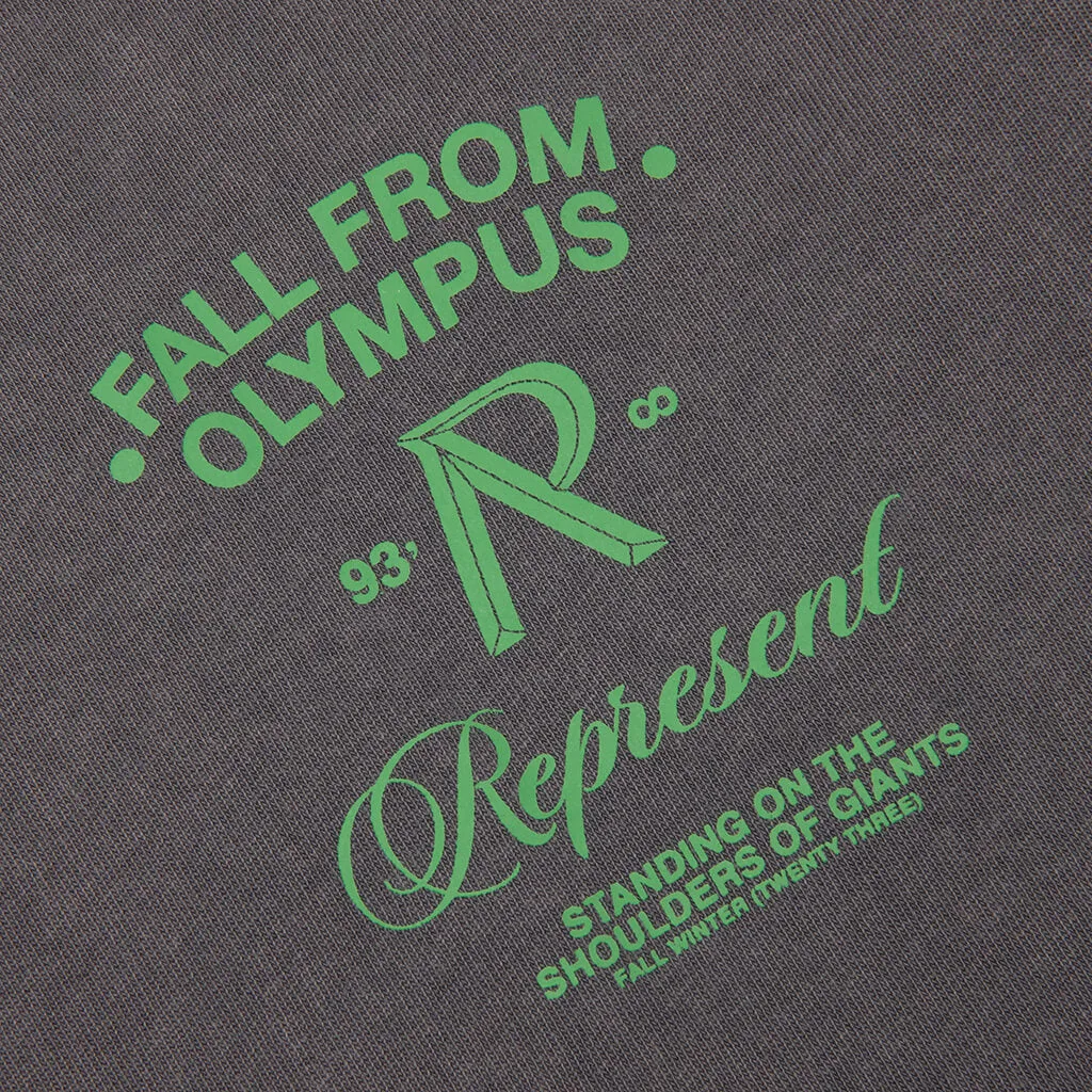 Fall From Olympus T-Shirt - Storm