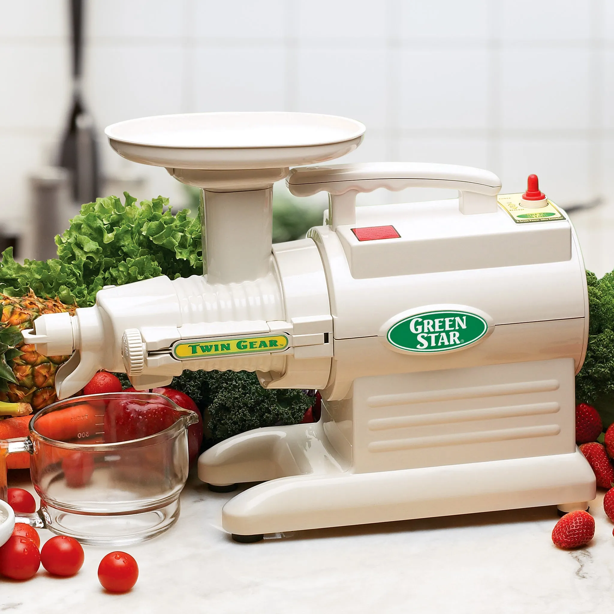 Greenstar Original Basic Twin Gear Slow Masticating Juicer