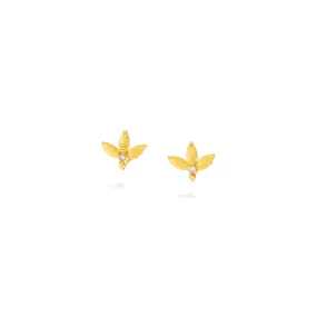 Honey Flower Sapphire Stud Earrings