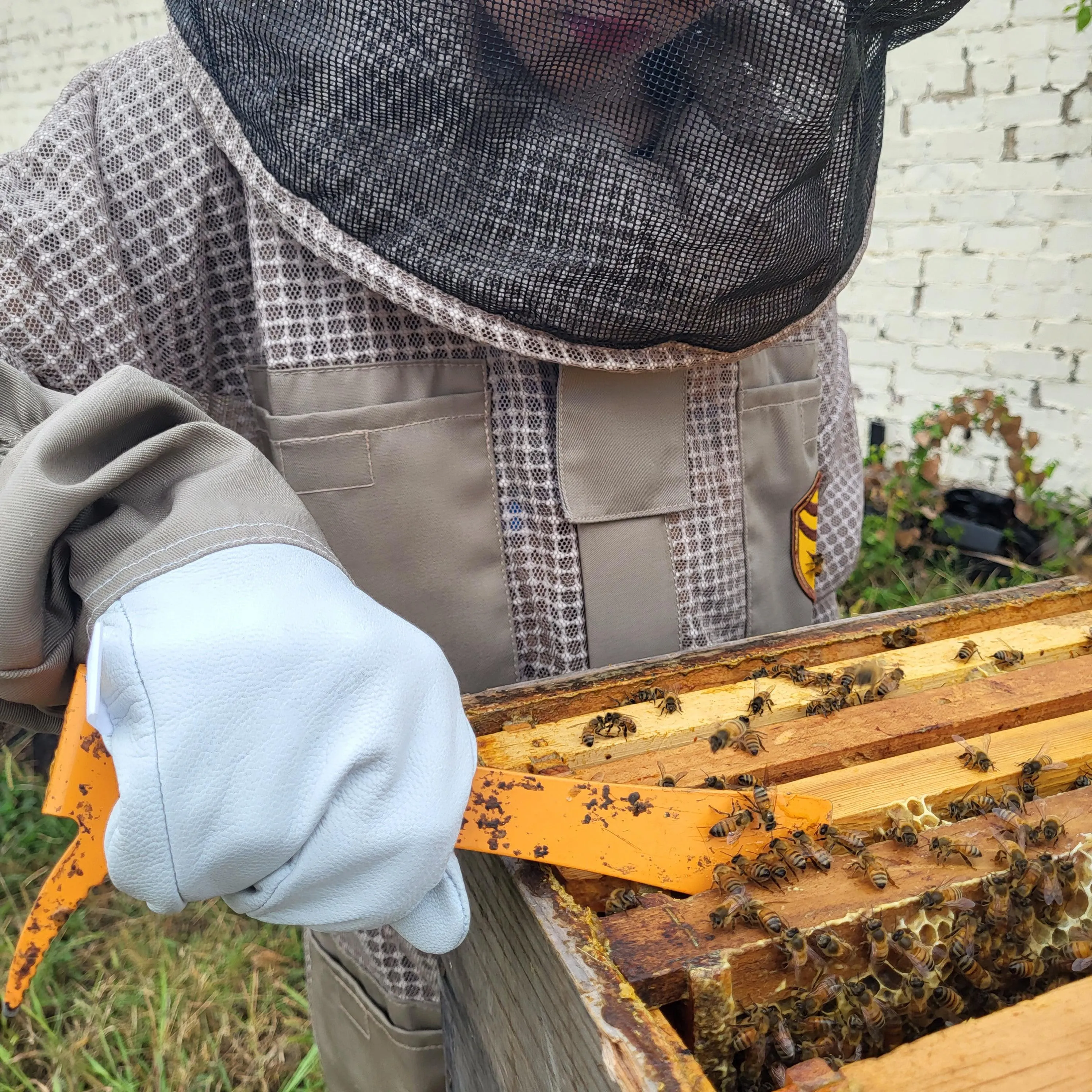 Kids Beekeeping Gloves