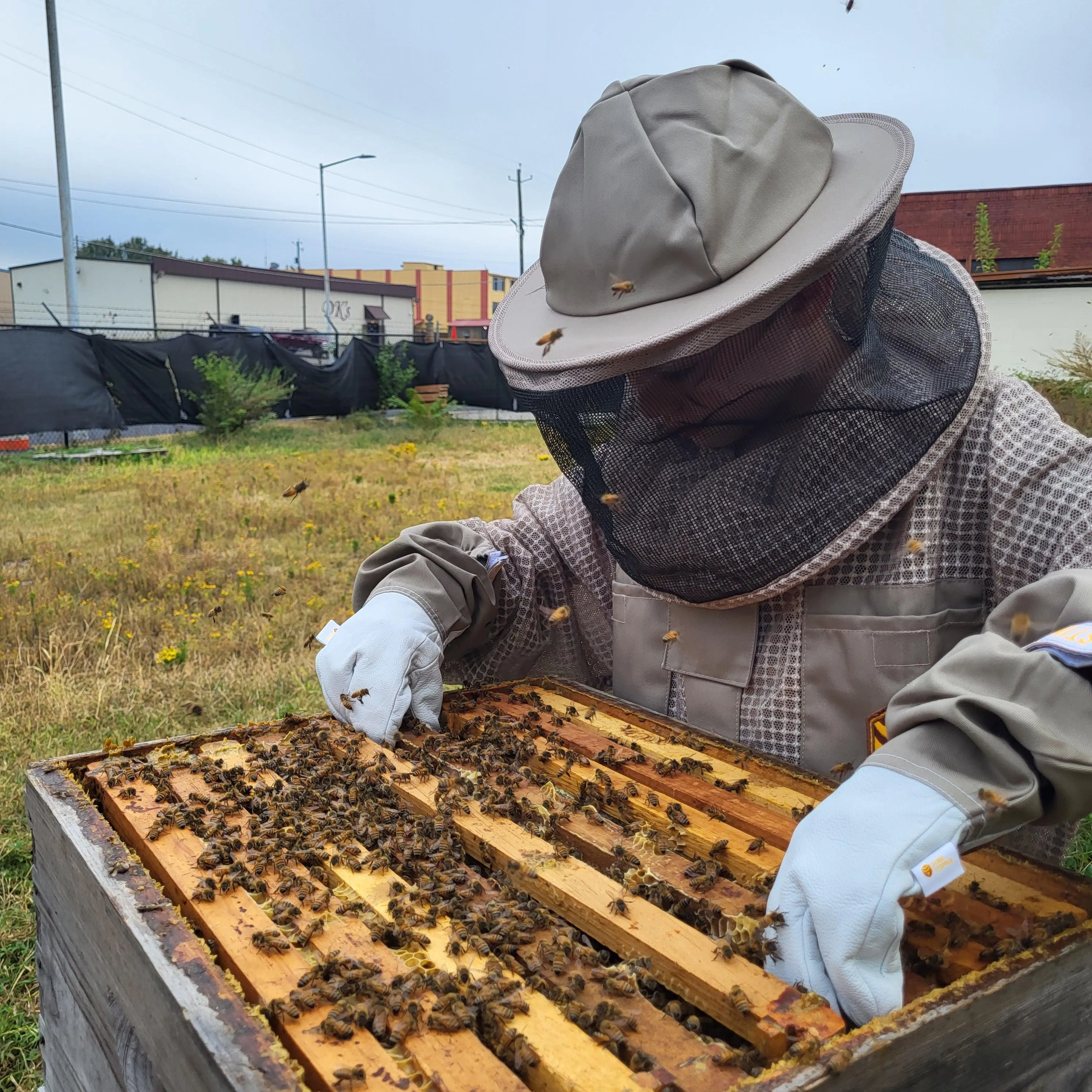 Kids Beekeeping Gloves