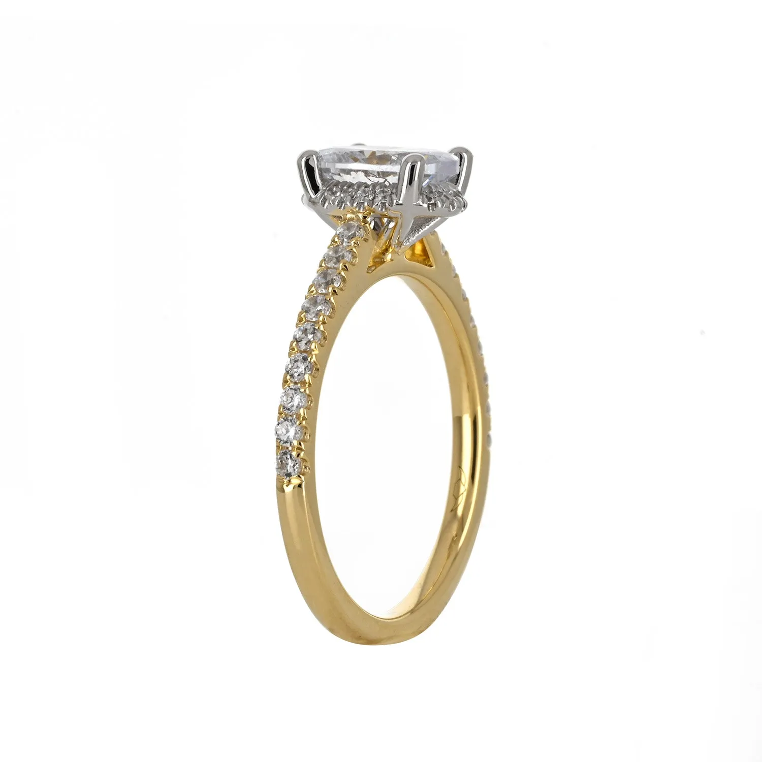 The Pavé Halo | Oval