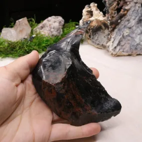 Unique Hand Collected Mahogany Obsidian from Washington, USA